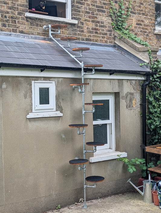Cat Ladder